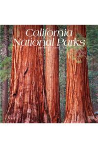 California National Parks 2020 Square
