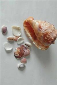 Sea Shells Notebook