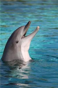 Dolphin Notebook