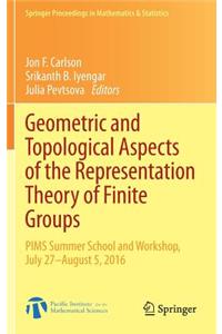 Geometric and Topological Aspects of the Representation Theory of Finite Groups