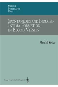 Spontaneous and Induced Intima Formation in Blood Vessels