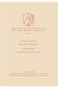 Die Struktur der Chloroplasten. Zum Mechanismus der Photosynthese
