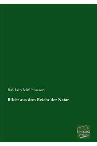 Bilder aus dem Reiche der Natur