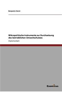 Mikropolitische Instrumente zur Durchsetzung des betrieblichen Umweltschutzes