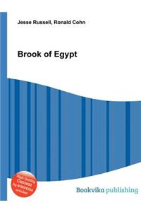 Brook of Egypt