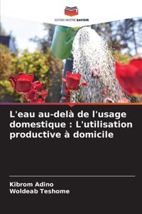 L'eau au-delà de l'usage domestique