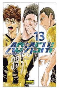 AO ASHI 13
