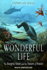 Wonderful Life