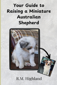Your Guide to Raising a Miniature Australian Shepherd