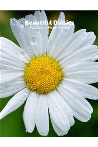 Beautiful Daisies Full-Color Picture Book