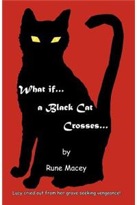 What If.a Black Cat Crosses.