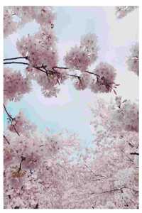 Cherry Blossom Notebook