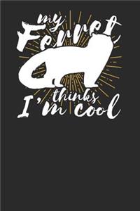 My Ferret Thinks I'm Cool