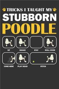 Poodle Journal