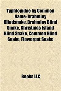 Typhlopidae by Common Name