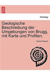 Geologische Beschreibung Der Umgebungen Von Brugg, Mit Karte Und Profilen.