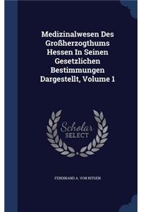 Medizinalwesen Des Großherzogthums Hessen In Seinen Gesetzlichen Bestimmungen Dargestellt, Volume 1