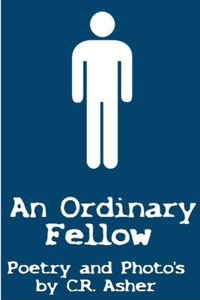 Ordinary Fellow