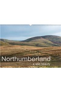 Northumberland a Wild Beauty 2017: A Collection of Photographs from the Beautiful County of Northumberland (Calvendo Nature)