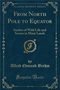 From North Pole to Equator: Studies of Wild Life and Scenes in Many Lands (Classic Reprint)