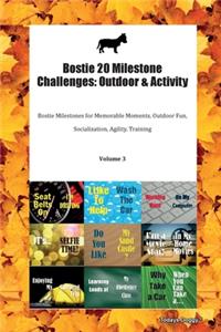 Bostie 20 Milestone Challenges