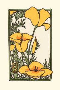 California Poppy: Boxed Set of 6 Cards