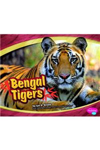 Bengal Tigers