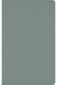 ESV Baby New Testament with Psalms and Proverbs