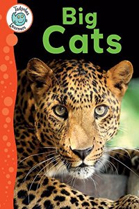 Tadpoles Learners: Big Cats