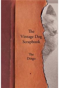Vintage Dog Scrapbook - The Dingo