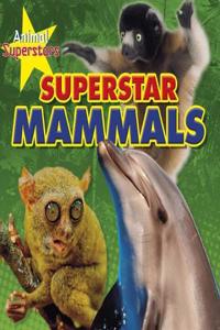 Animal Superstars Pack A of 4