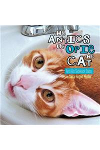Antics of Opie the Cat
