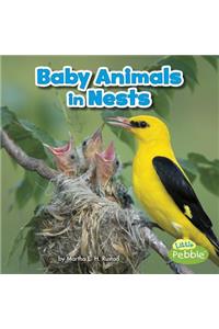 Baby Animals in Nests