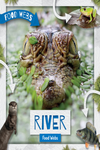 River Food Webs