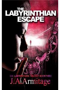Labyrinthian Escape