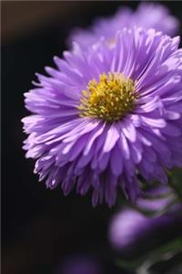 Purple Aster Flower Gardening Journal