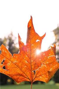 A Tattered Autumn Leaf Changing Seasons Journal