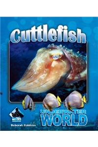 Cuttlefish