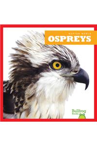 Ospreys