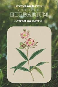 Little Traveler Herbarium