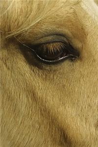 2020 Daily Planner Horse Photo Equine Eye 388 Pages