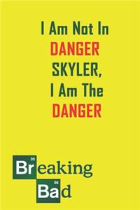 I am Not In Danger Skyler, I Am The Danger.
