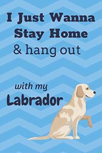 I just wanna stay home & hang out with my Labrador