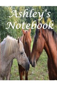Ashley's Notebook