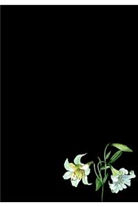 Lily Flower Journal