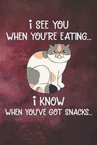 I See You When You're Eating I Know When You've Got Snacks Notebook Journal