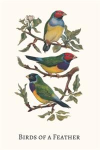 Birds of a Feather