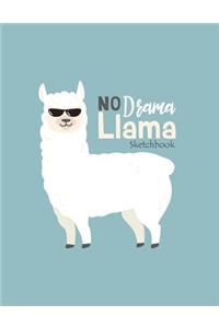 No drama llama sketchbook