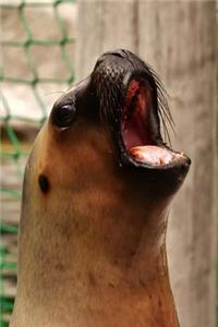 Adorable Seal Goes for the High Note at Zoo Karaoke Night Journal