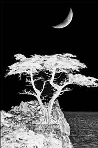 White Tree Journal
